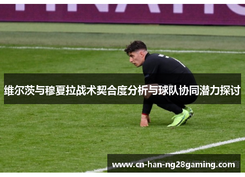 维尔茨与穆夏拉战术契合度分析与球队协同潜力探讨