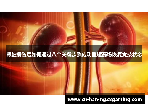 肾脏损伤后如何通过八个关键步骤成功重返赛场恢复竞技状态 肾脏损伤后如何通过八个关键步骤成功重返赛场恢复竞技状态